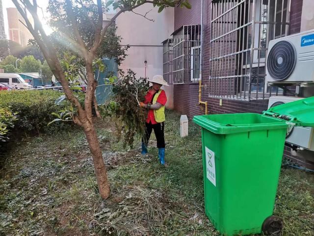 东湖新技术开辟区豹澥街分类专班黄金堂社区开展清洁家园活动