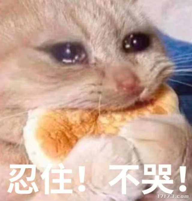 放弃百万年薪，离职大厂搞独立游戏，结果赔到裤衩子都没了？