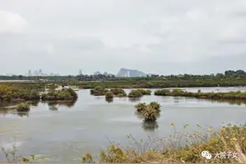 孙新生：越南游记（十五）寻访古战场2图片