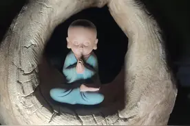 什么木头不生虫，虫蛀和砍伐季节有关图片