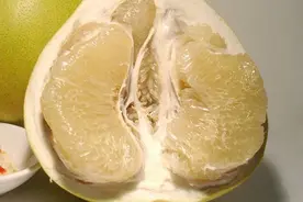 长坝沙田柚产业现状及发展对策图片