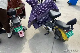 秦皇岛市民注意啦，详细的线上上牌攻略来了来了图片