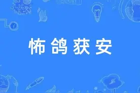 一天一成语:怖鸽获安图片