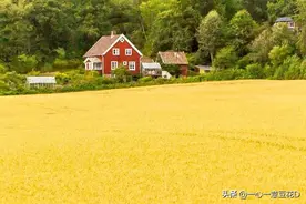 七言诗 咏农民图片