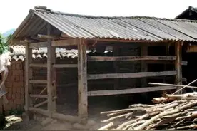 回忆生产队修牛栏图片