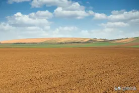 2022年直补、粮补“3大调整”，金额提高、提前发放！种地享福了图片