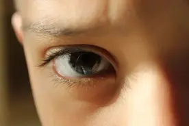 眼睛也分主次，你的大脑更“偏心”哪一只眼？图片