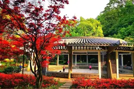 湖南历史上的第一个封建诸侯国图片