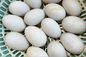 广东特色“腌制咸鸭蛋”，咸香入味，干净卫生图片