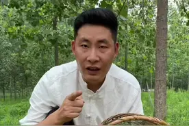 猪毛菜这个名字来源于《种子植物名称》，主要因其叶像猪毛可以食用而得名。#猪毛菜 #野菜 #我的乡村生活 @抖音自然视频封面