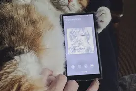 我们又买了这 5 件好用的「新玩意」图片