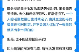 白头发“扯一根长十根”？还能有这好事？图片