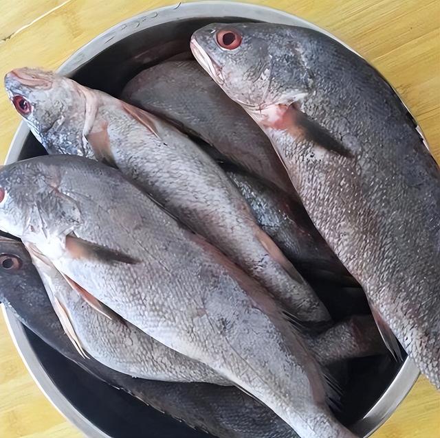 鱼胶可以帮助孩子长高吗 2025年鱼胶有助于长高吗