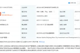 武汉白沙滨江新城投资开发有限公司成立，注册资本1亿图片