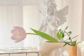 买时“肉疼”，用着“真香”！这4种黑科技家居好物，幸福感倍增图片