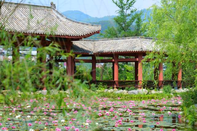 四川省民生研究会新媒体中心-官网