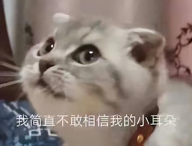 苹果手机手写输入法怎么调出来（苹果手机里隐藏的超实用小技巧）