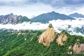 山水人文竞芬芳——南阳市实施文旅文创融合战略高质量发展走笔图片