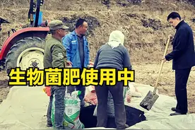 生物菌肥，如何用才能发挥它最大的作用？除产品外，方法占第一图片