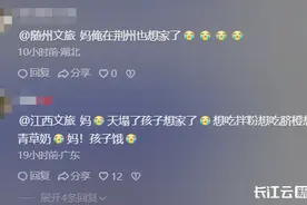湖北一地开启“宠娃”模式！各地文旅又开始“卷”特产了图片