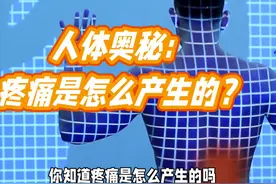 人身上哪些部位最脆弱？保护好这4个部位，关键时候能救你一命！图片