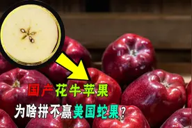 美国蛇果77一斤，中国花牛5块一斤，网友：一样苹果差距这么大？图片