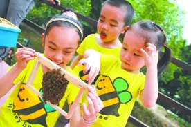 6岁孩子被蜜蜂蜇，妈妈“两拒绝三处理”救了娃，医生：不用治了图片