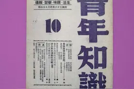 刊号后缀字母为什么不一样？字母的含义是什么？图片