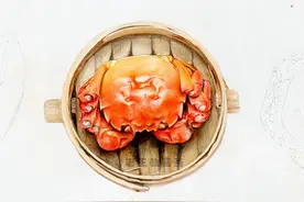 零基础也能画好彩铅作品，教你画一只写实螃蟹图片