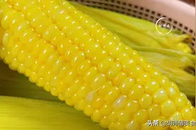 煮玉米时，不能用清水直接煮，多加2样料，玉米香甜软糯，真实用图片