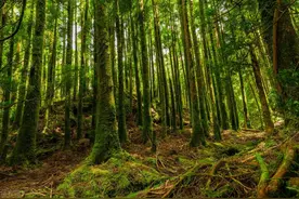 第109章 风波再起图片