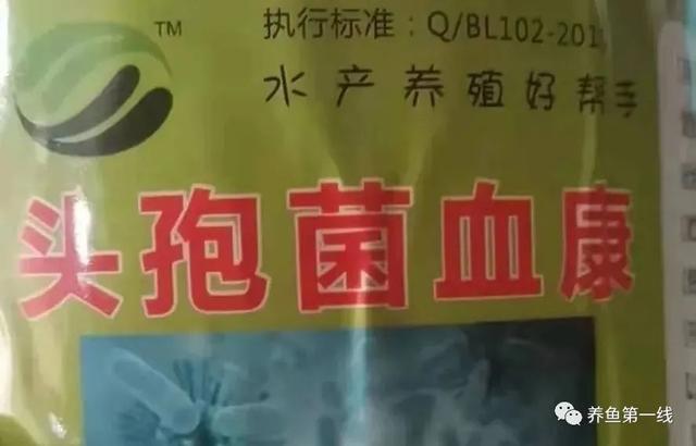 简析疑难杂症——鱼类败血症的防控：难治的集多症状于一身的鱼病
