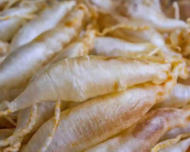 花胶鸡用什么花胶 花胶鸡用哪种花胶