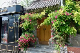 漫步老胡同，感受十足“京味儿”图片