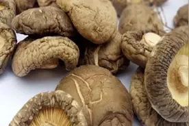 干香菇泡发时，用凉水和热水都不对，教你正确方法，几分钟泡发好图片