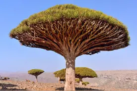 世界上最为震撼的16处自然景观，每一个都能让你大开眼界图片