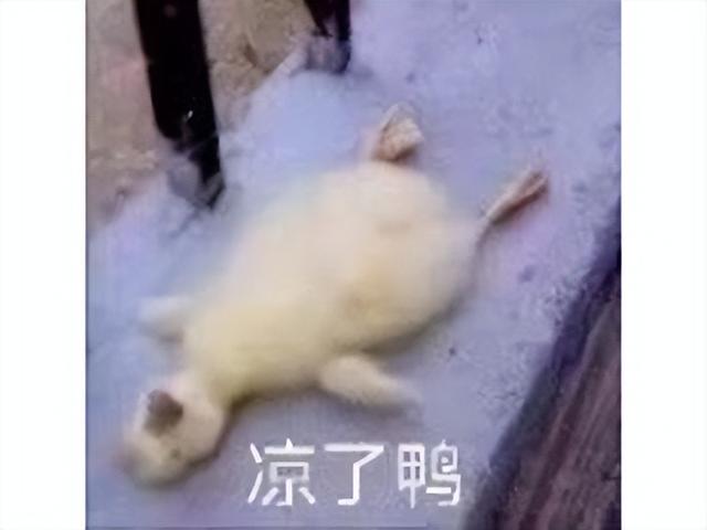 2022年已有10个游戏停运？腾讯17年老游戏停服，网易也停运好几款