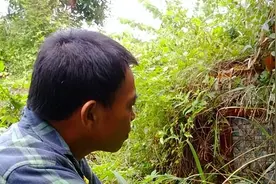 山东籍赴台老兵马启发在台湾孤独离世，头条寻人盼为他找到亲人图片