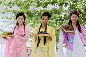 咏物诗可以窥测民族性，诗词中的葡萄为什么特殊？古人的理解不同图片