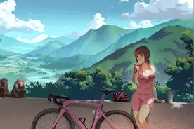 预算6K-9K以下的公路车推荐，小贵但是值得图片