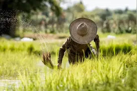 事关农村土地经营权流转，浙江专门印发通知图片