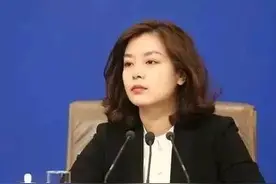 中国最美女翻译张京图片