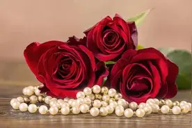 欧洲王室玫瑰的爱与哀愁图片