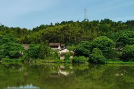 慧眼识破生男生女奥秘的传奇接生婆图片