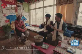 所波大叔客栈包吃住收60元，土豆牛肉无限量吃，谢霆锋：太难得了图片