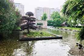 案例分享｜| 省税务局360m²景观水系净化工程+喷泉造景图片