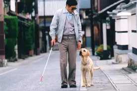 用了上百年的导盲犬，被网友们喷成了一场骗局图片