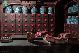 115味常见中药功效图片