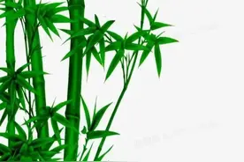 俗语“坟边长竹须迁坟，坟前两物成富人”，这两物到底是哪两物？图片