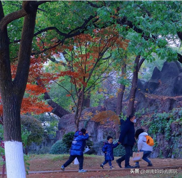 省钱还好玩！这是一条神奇公交线路，带你2块游遍长沙城